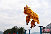 梦见含血（文化中国行）壮乡狮舞闯南洋：脚踏“云桩” 饮誉海内外